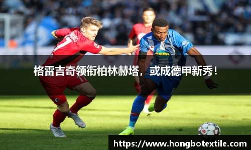 lehu乐虎国际官方网站